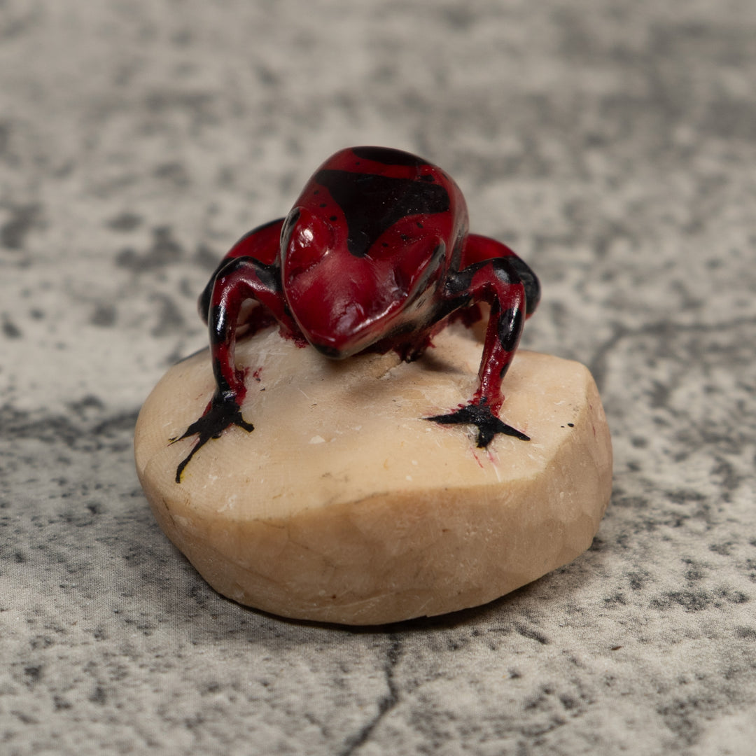 Vintage Red And Black Poison Dart Frog Tagua Carving