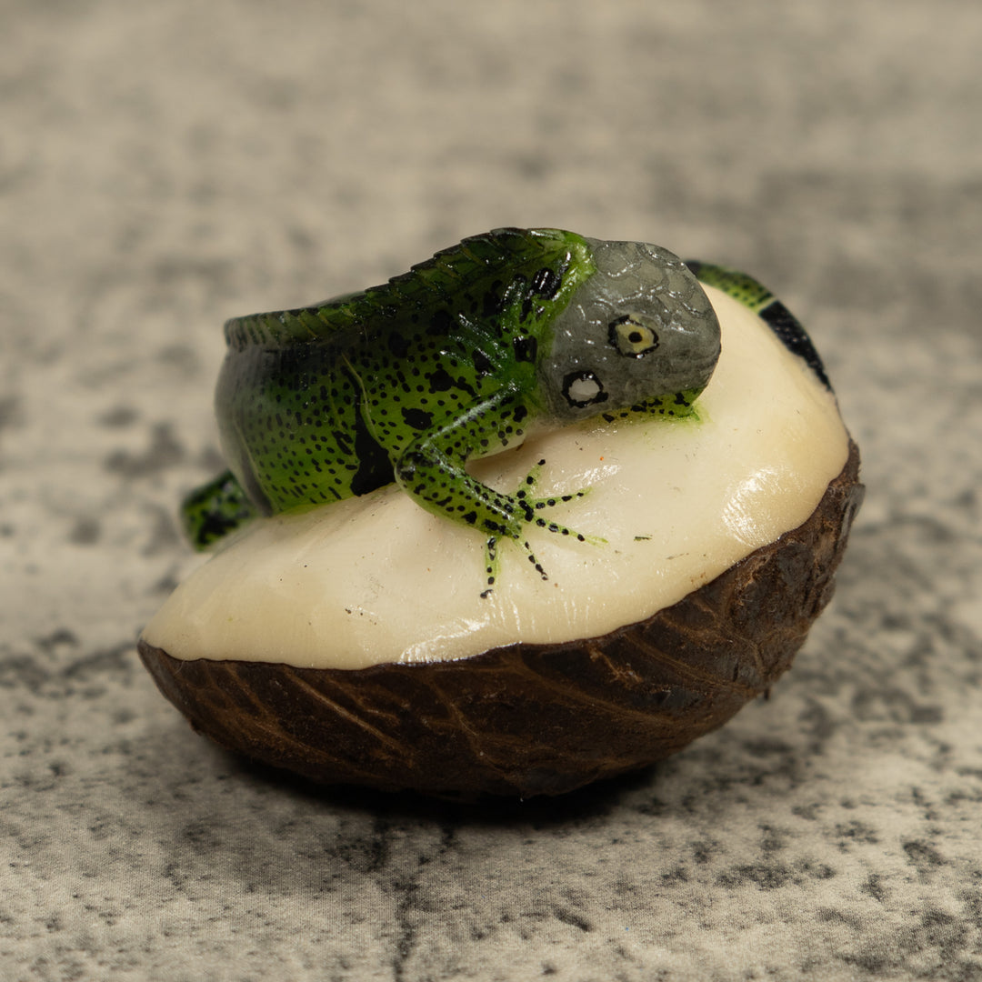 Iguana Lizard Tagua Carving