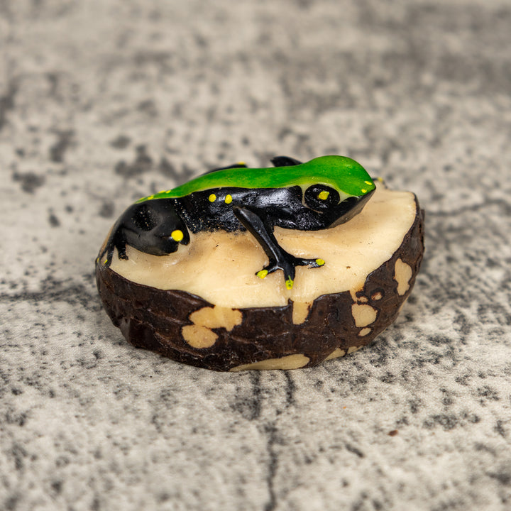 Black And Green Poison Dart Frog Tagua Carving