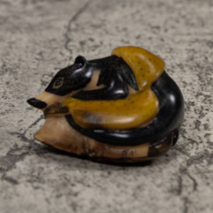 Coatimundi Tagua Carving