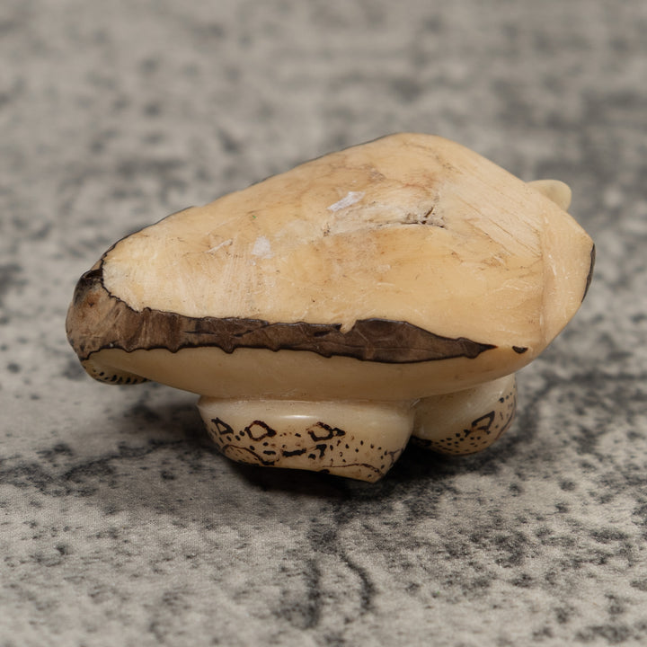 Jungle Snake Tagua Carving