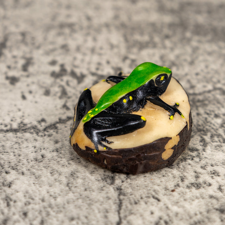 Black And Green Poison Dart Frog Tagua Carving
