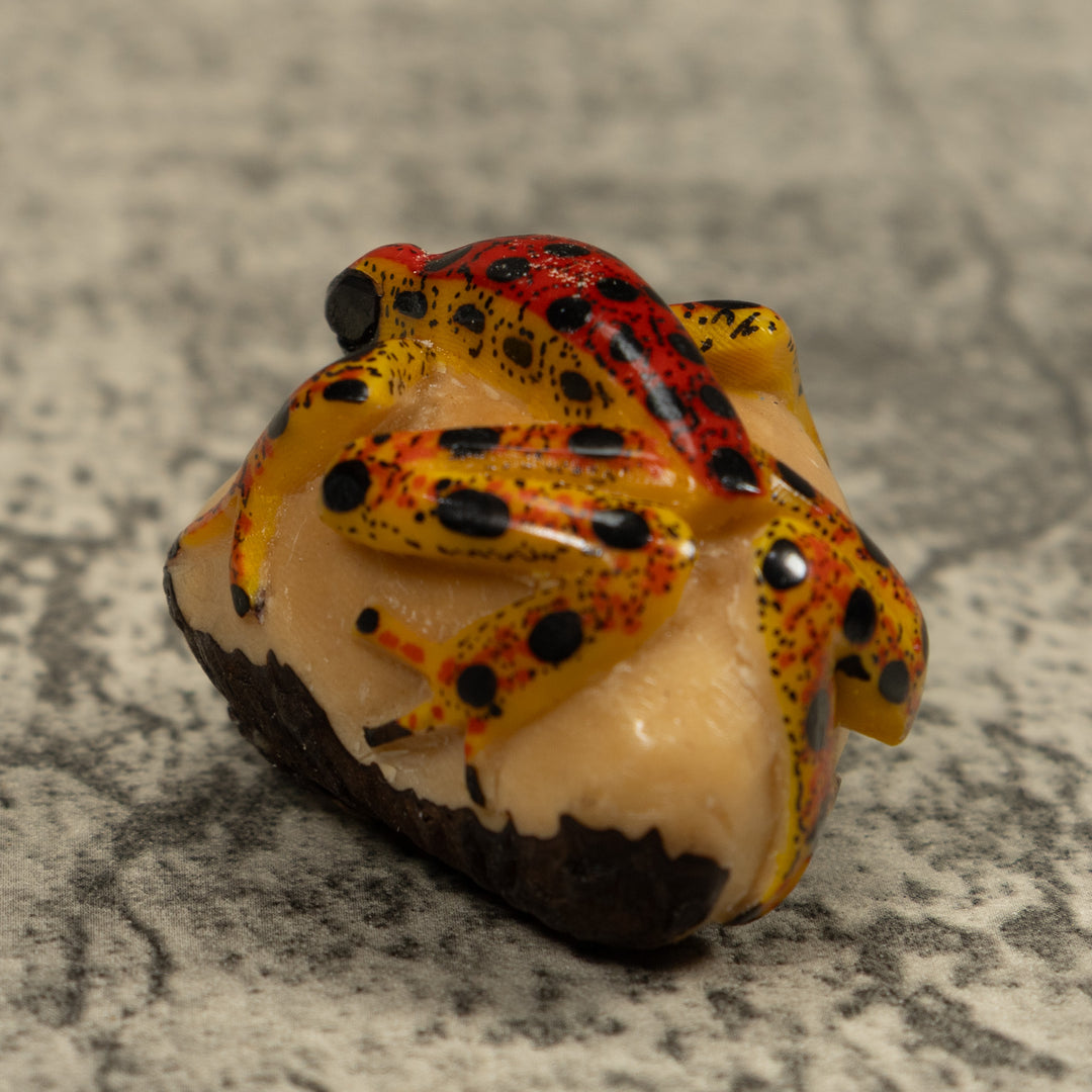 Vintage Poison Dart Frog Tagua Carving