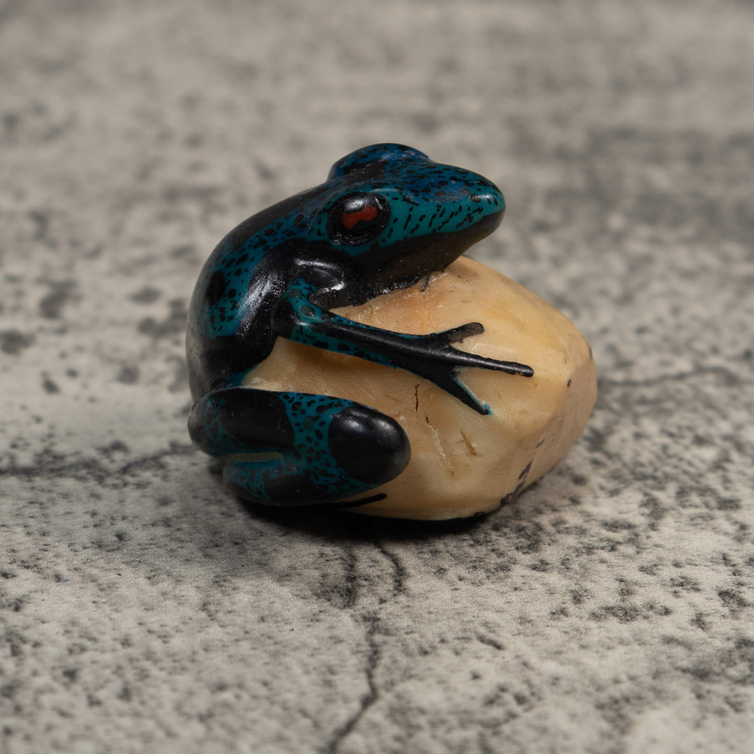 Blue And Black Poison Dart Frog Tagua Carving