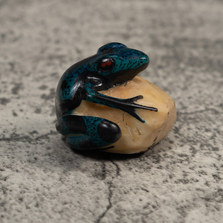Blue And Black Poison Dart Frog Tagua Carving