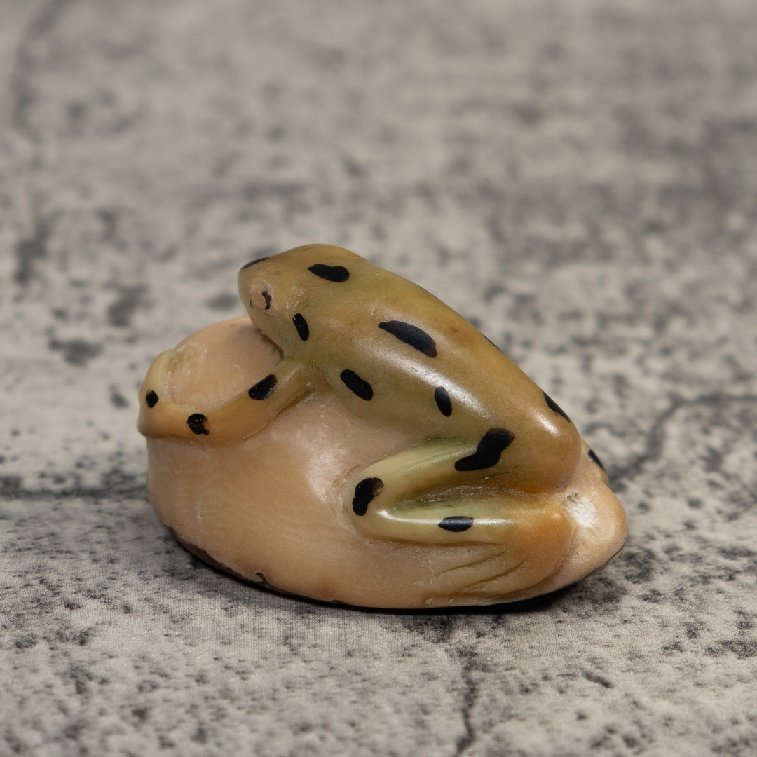 Pale Yellow And Black Jungle Frog Tagua Carving