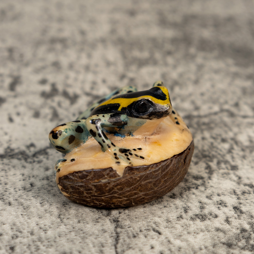 Vintage Gold Black And Blue Poison Dart Frog Tagua Carving