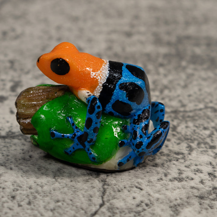Orange Blue And Black Poison Dart Frog Tagua Carving