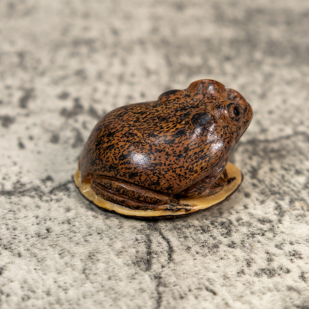 Brown Toad Frog Tagua Carving