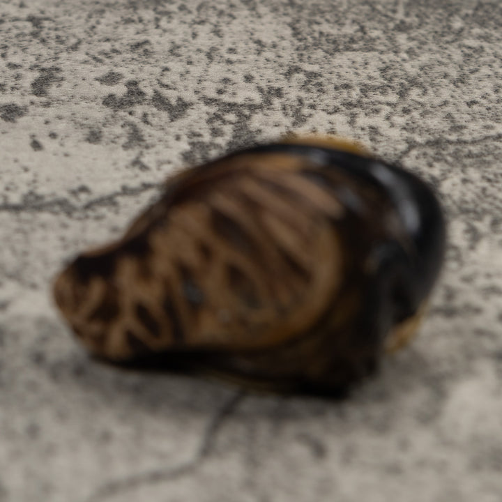 Coatimundi Tagua Carving