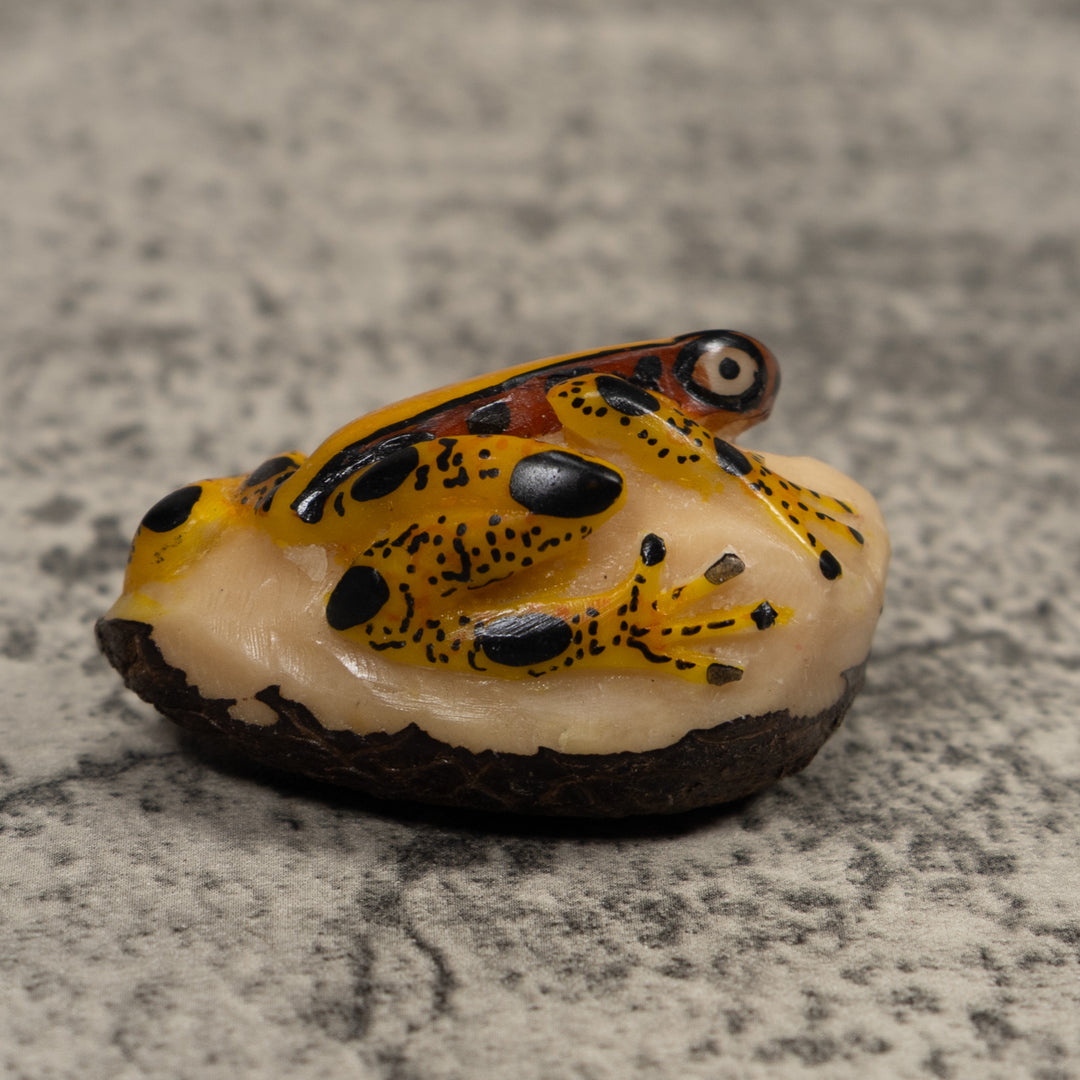 Poison Dart Frog Tagua Carving