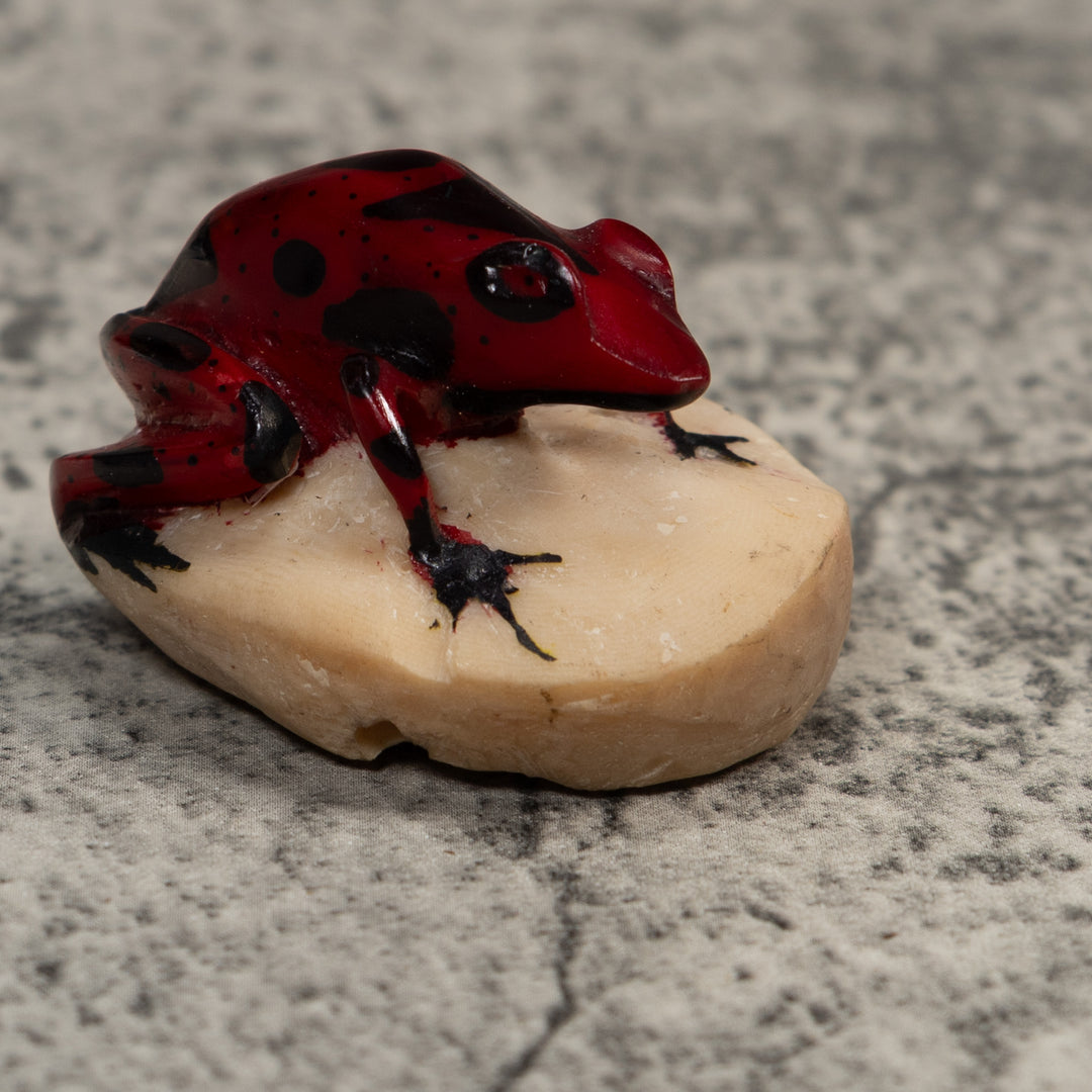 Vintage Red And Black Poison Dart Frog Tagua Carving
