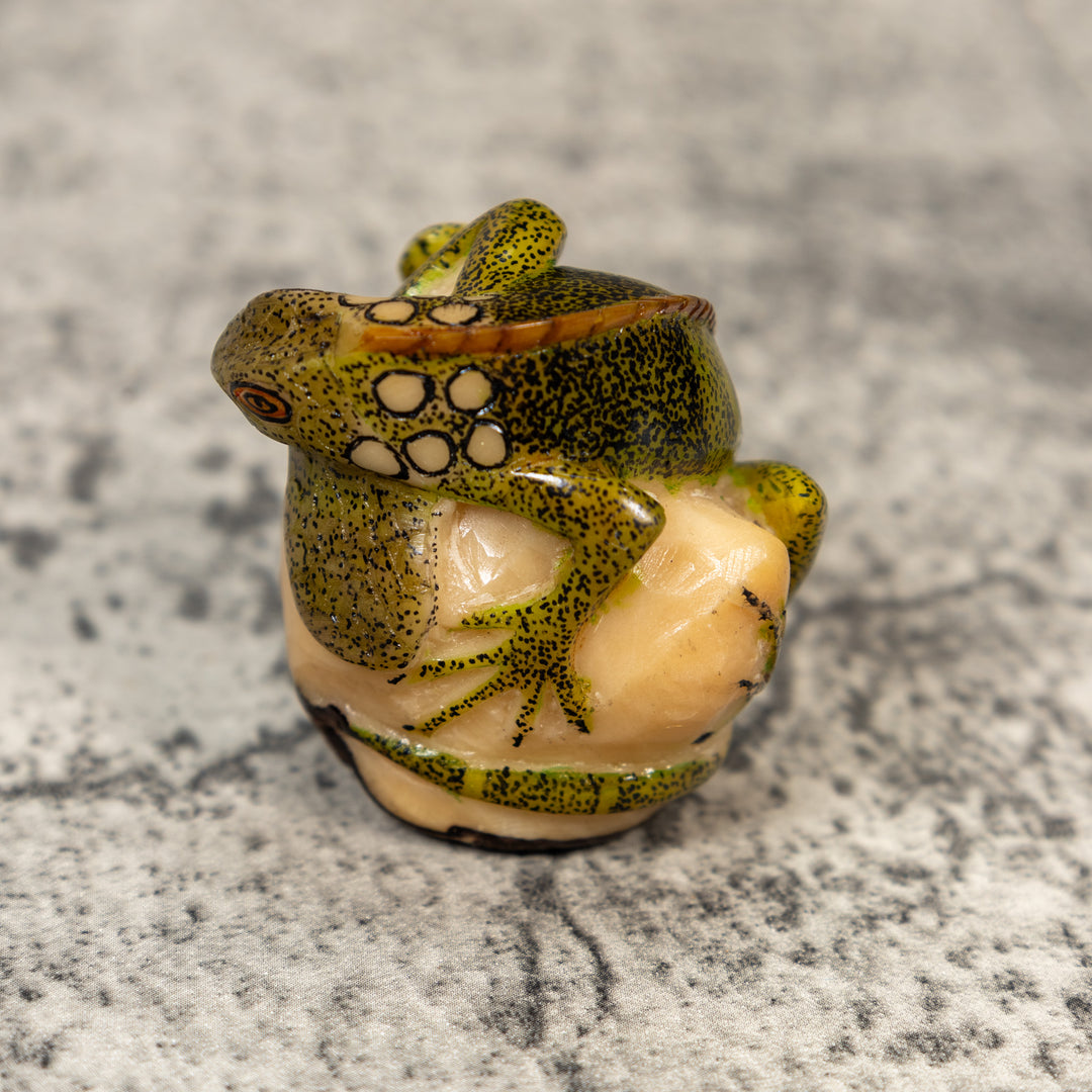 Iguana Lizard Reptile Tagua Carving