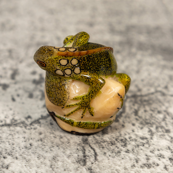Iguana Lizard Reptile Tagua Carving