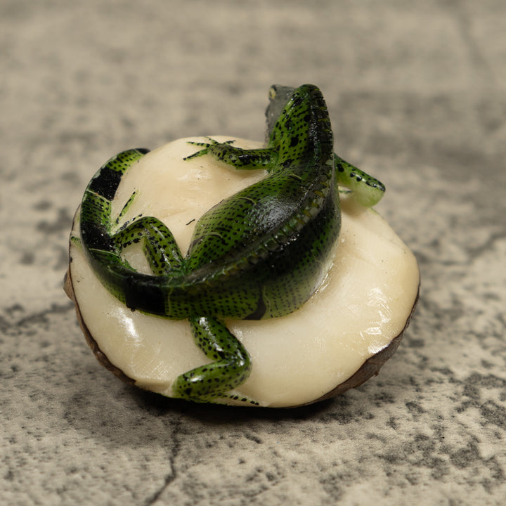 Iguana Lizard Tagua Carving