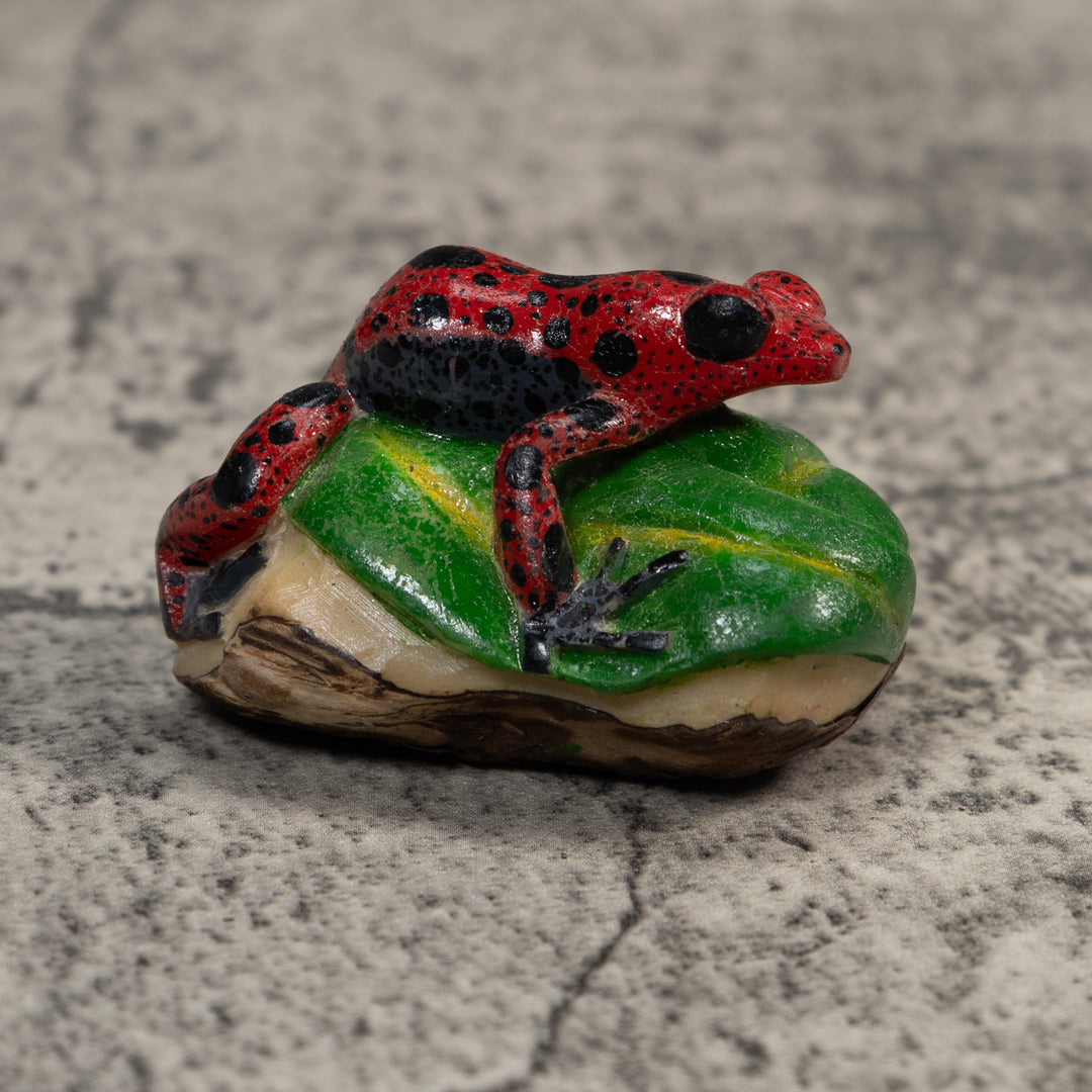 Black And Red Poison Dart Frog Tagua Carving