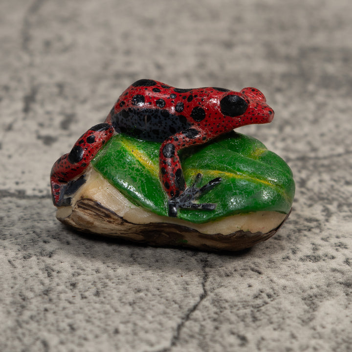 Black And Red Poison Dart Frog Tagua Carving