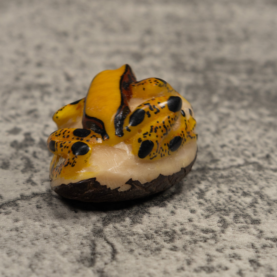 Poison Dart Frog Tagua Carving