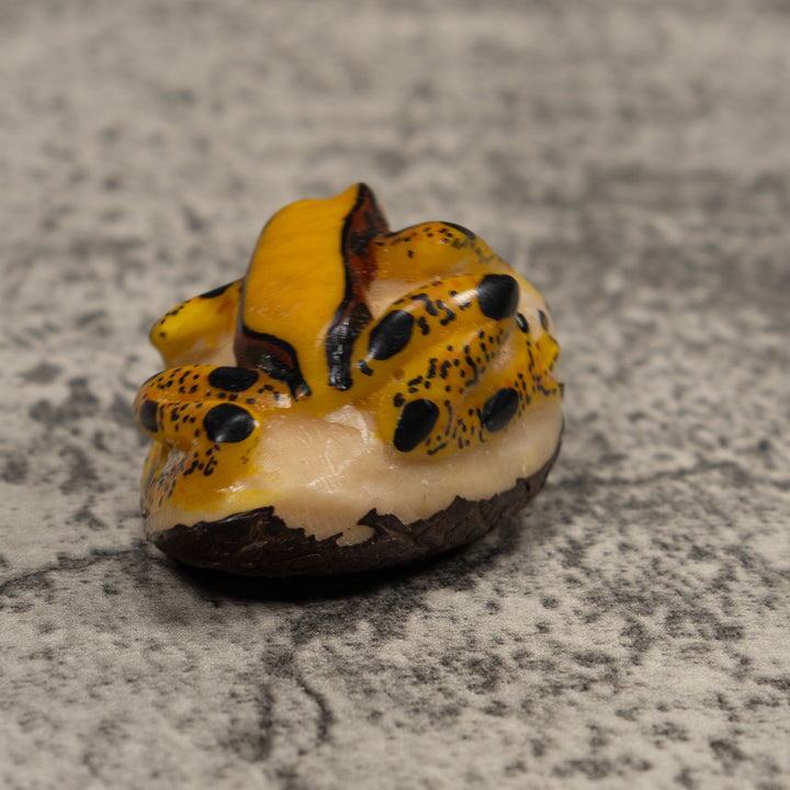 Poison Dart Frog Tagua Carving