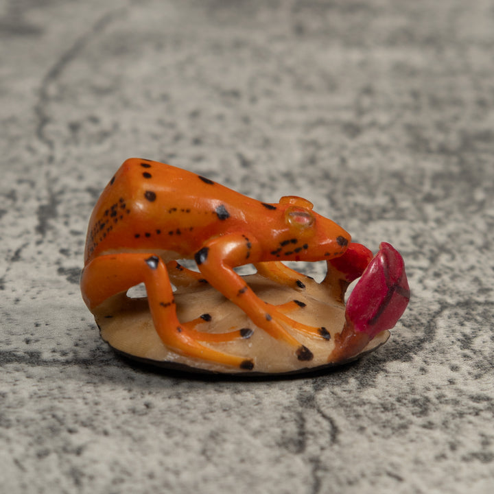 Orange And Black Poison Dart Frog Tagua Carving