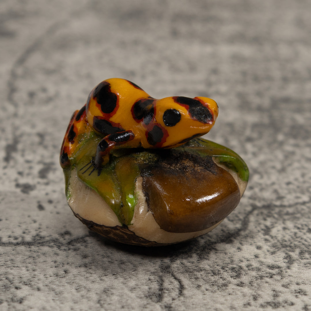 Poison Dart Frog Tagua Carving