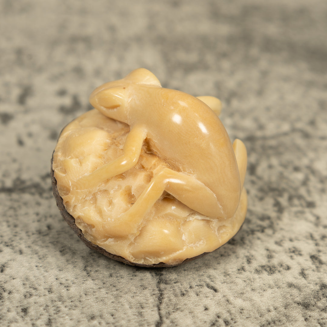 Natural White Frog Tagua Carving