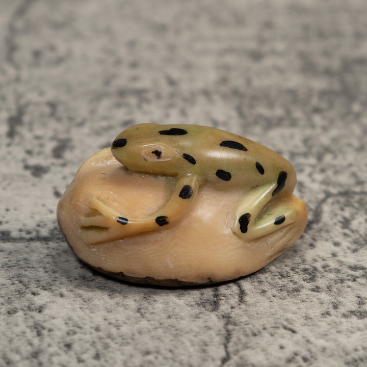 Pale Yellow And Black Jungle Frog Tagua Carving
