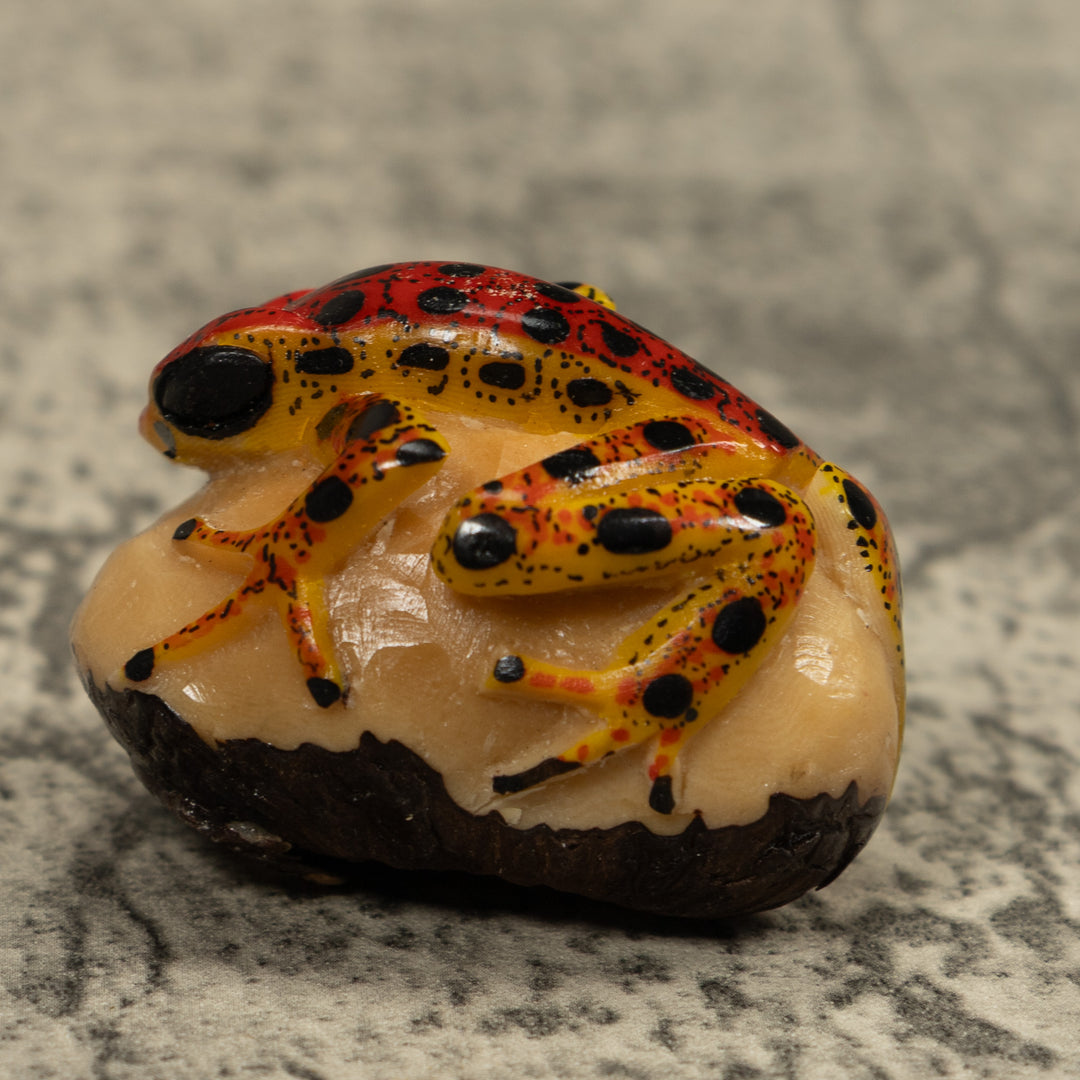 Vintage Poison Dart Frog Tagua Carving