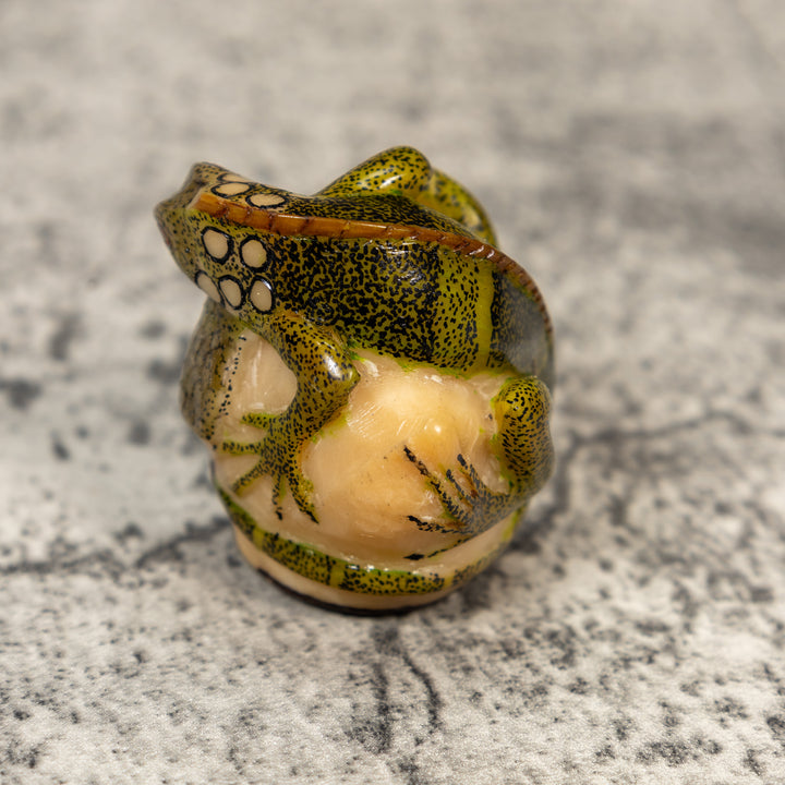 Iguana Lizard Reptile Tagua Carving