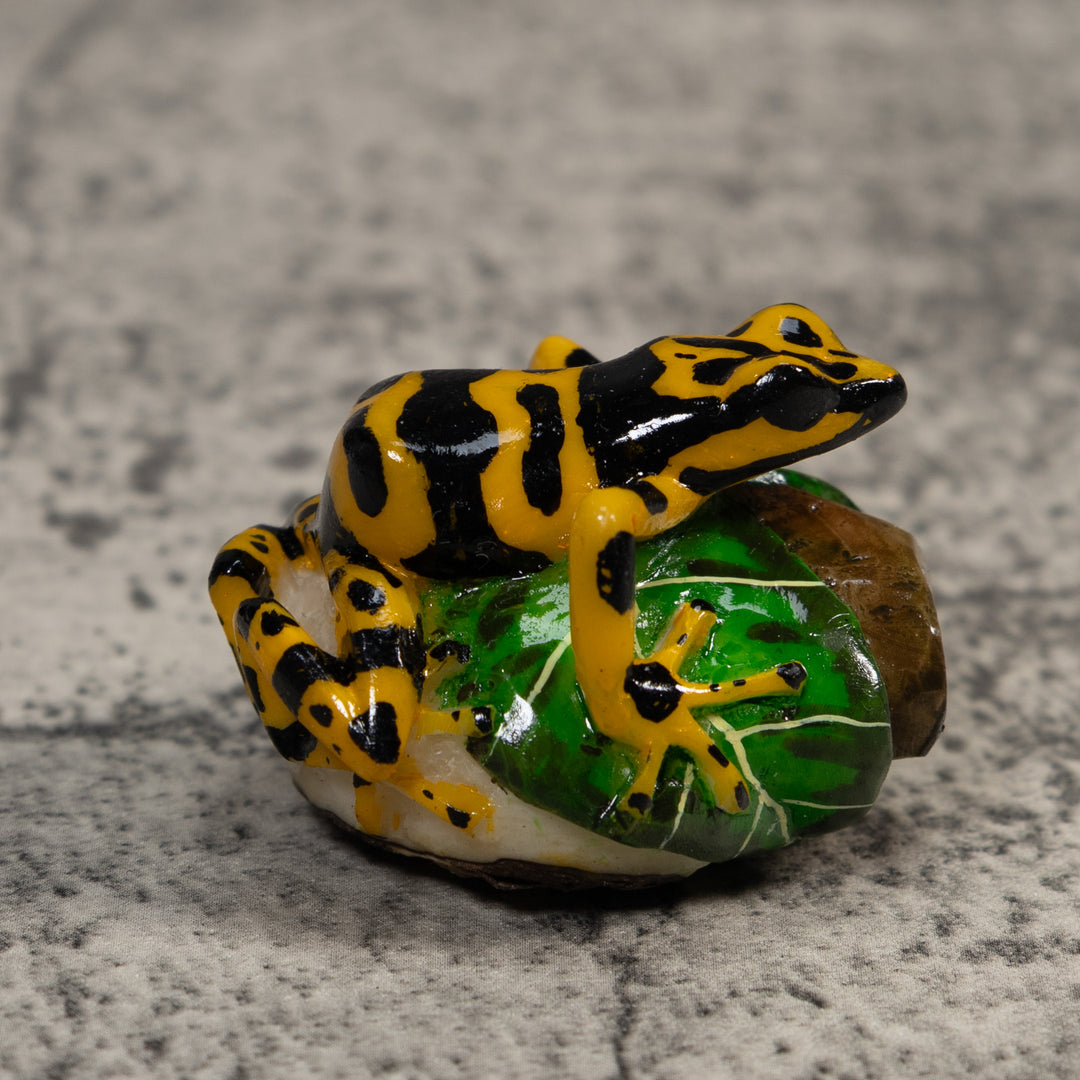 Black And Gold Poison Dart Frog Tagua Carving