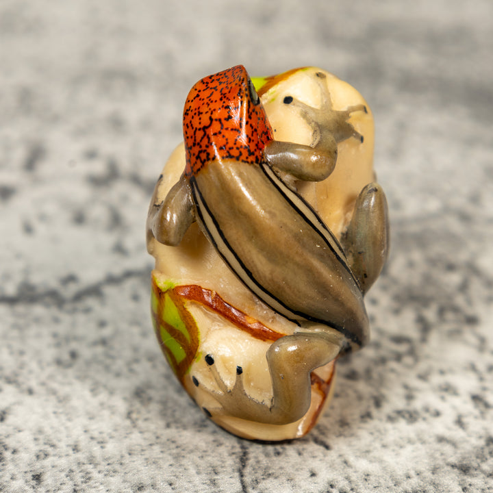 Redhead Gray Stripped Gecko Lizard Tagua Carving