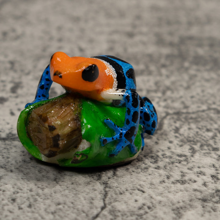 Orange Blue And Black Poison Dart Frog Tagua Carving