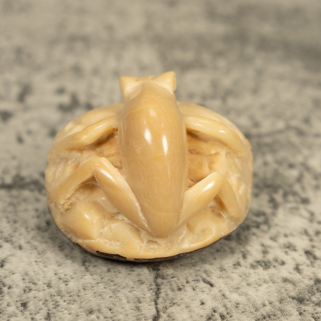 Natural White Frog Tagua Carving