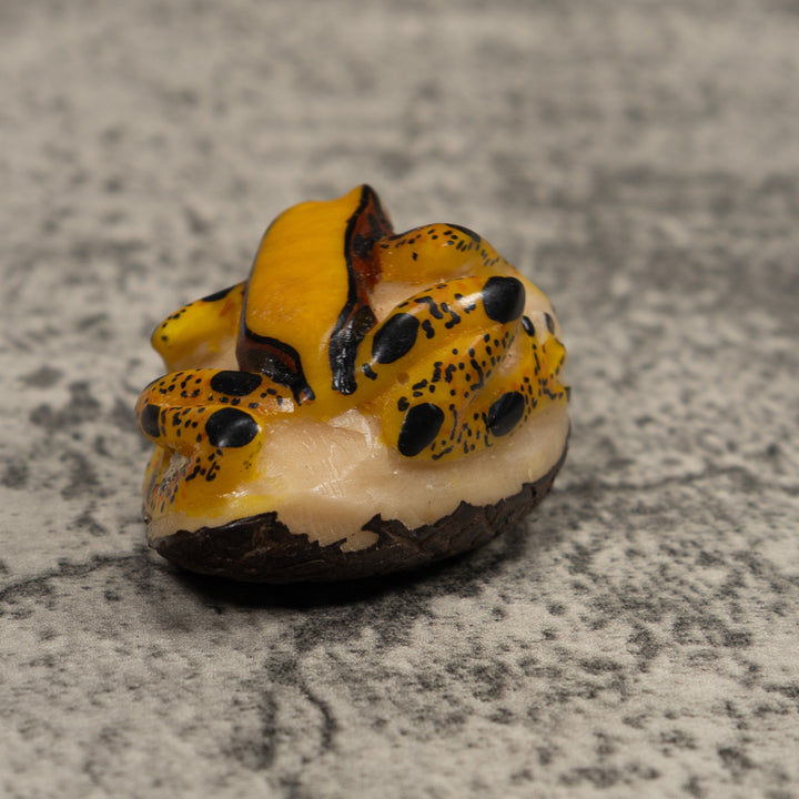 Poison Dart Frog Tagua Carving