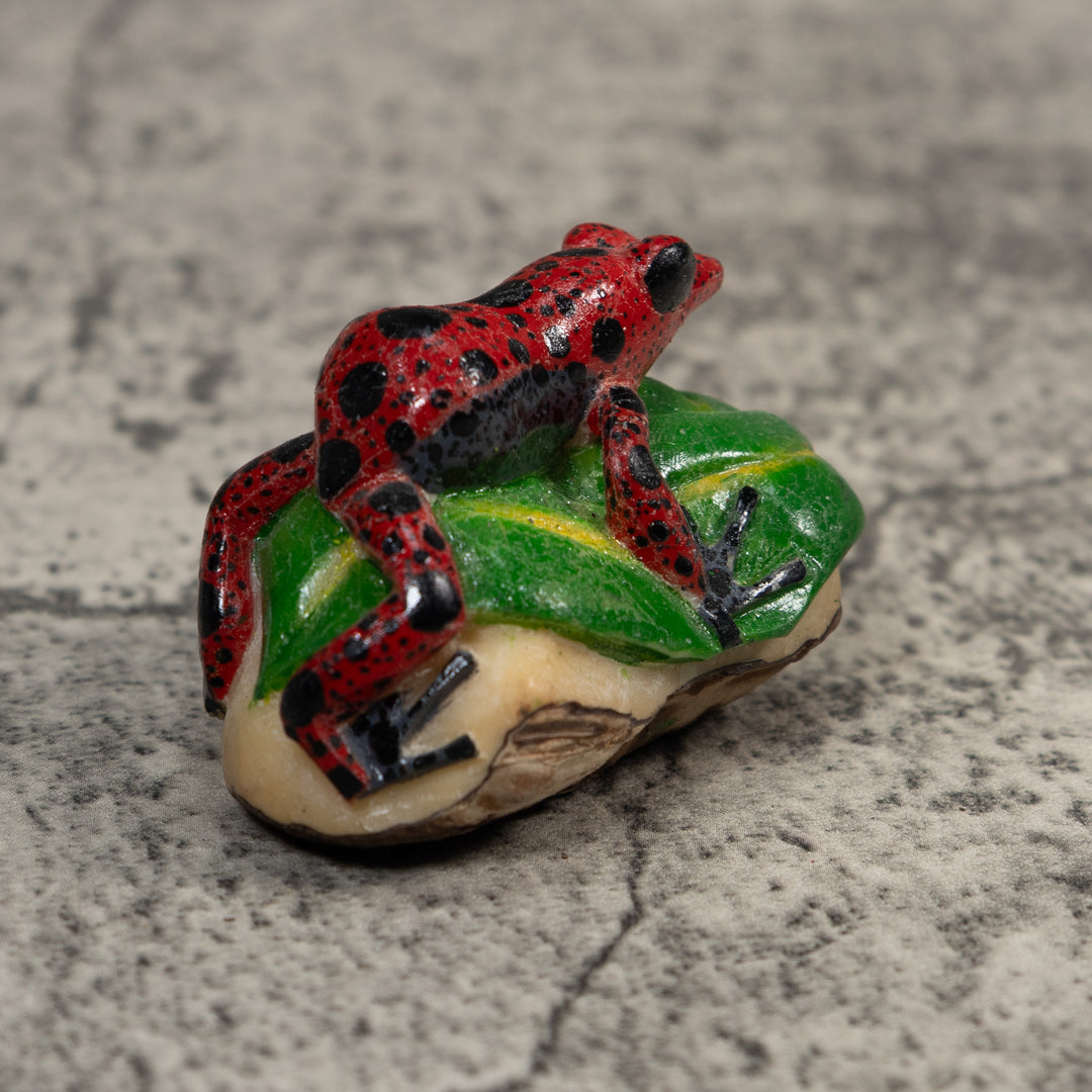 Black And Red Poison Dart Frog Tagua Carving