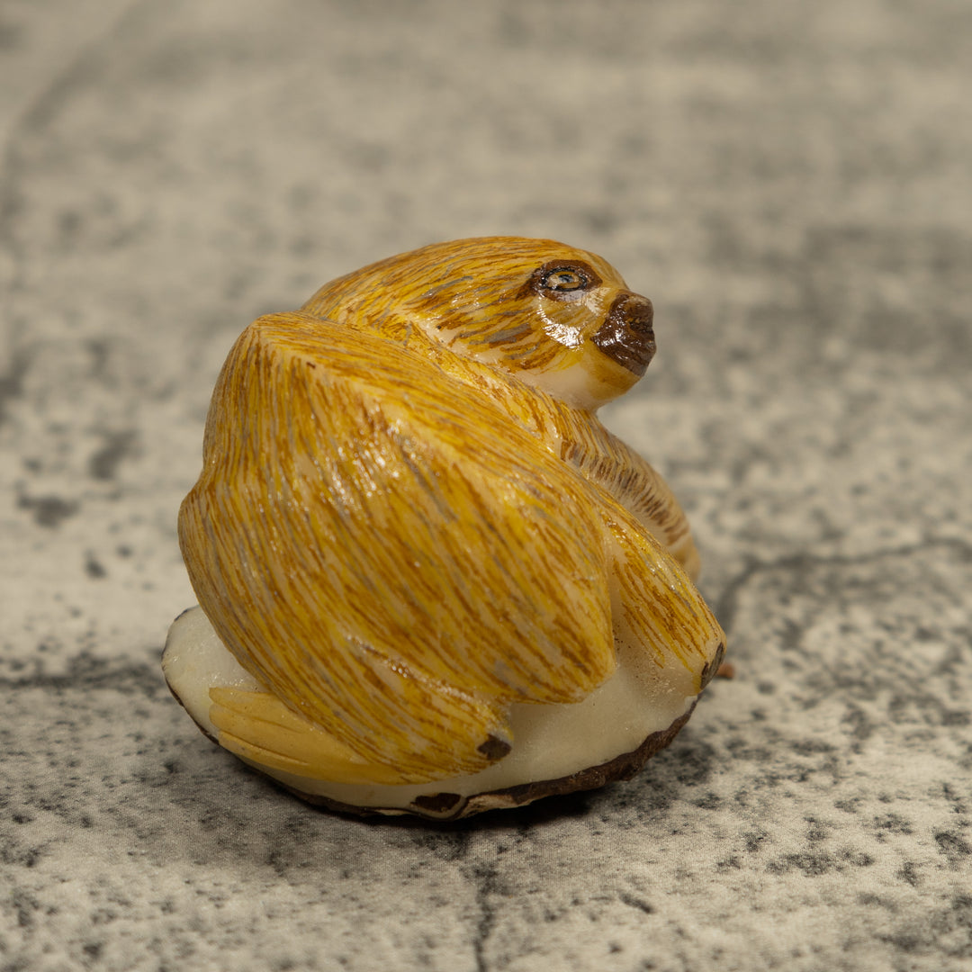 Brown Sloth Tagua Carving