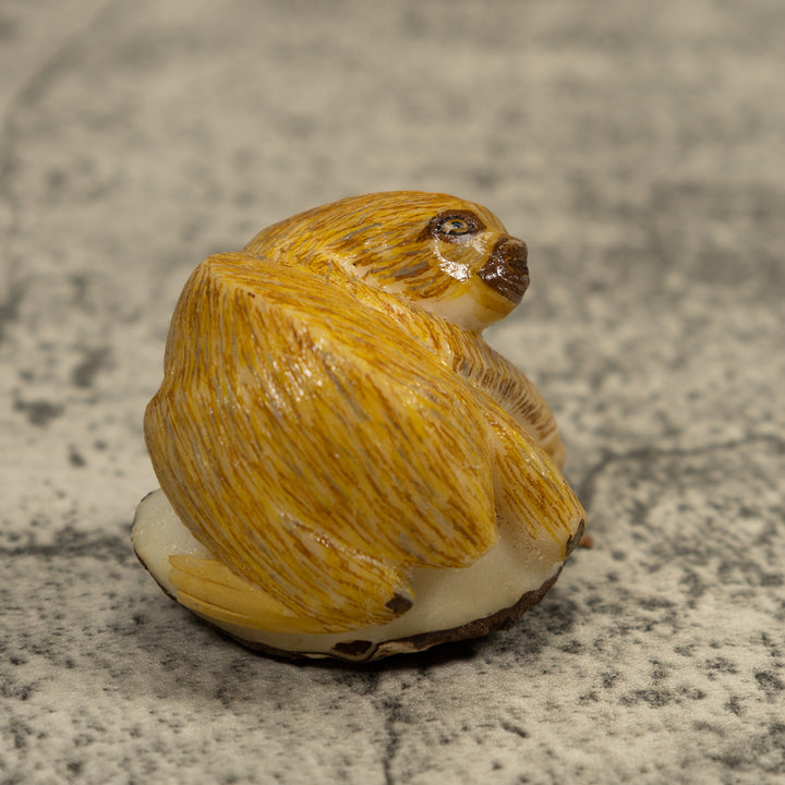 Brown Sloth Tagua Carving