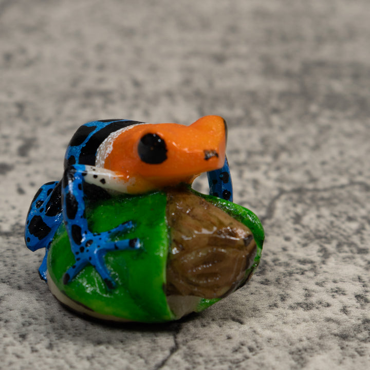 Orange Blue And Black Poison Dart Frog Tagua Carving