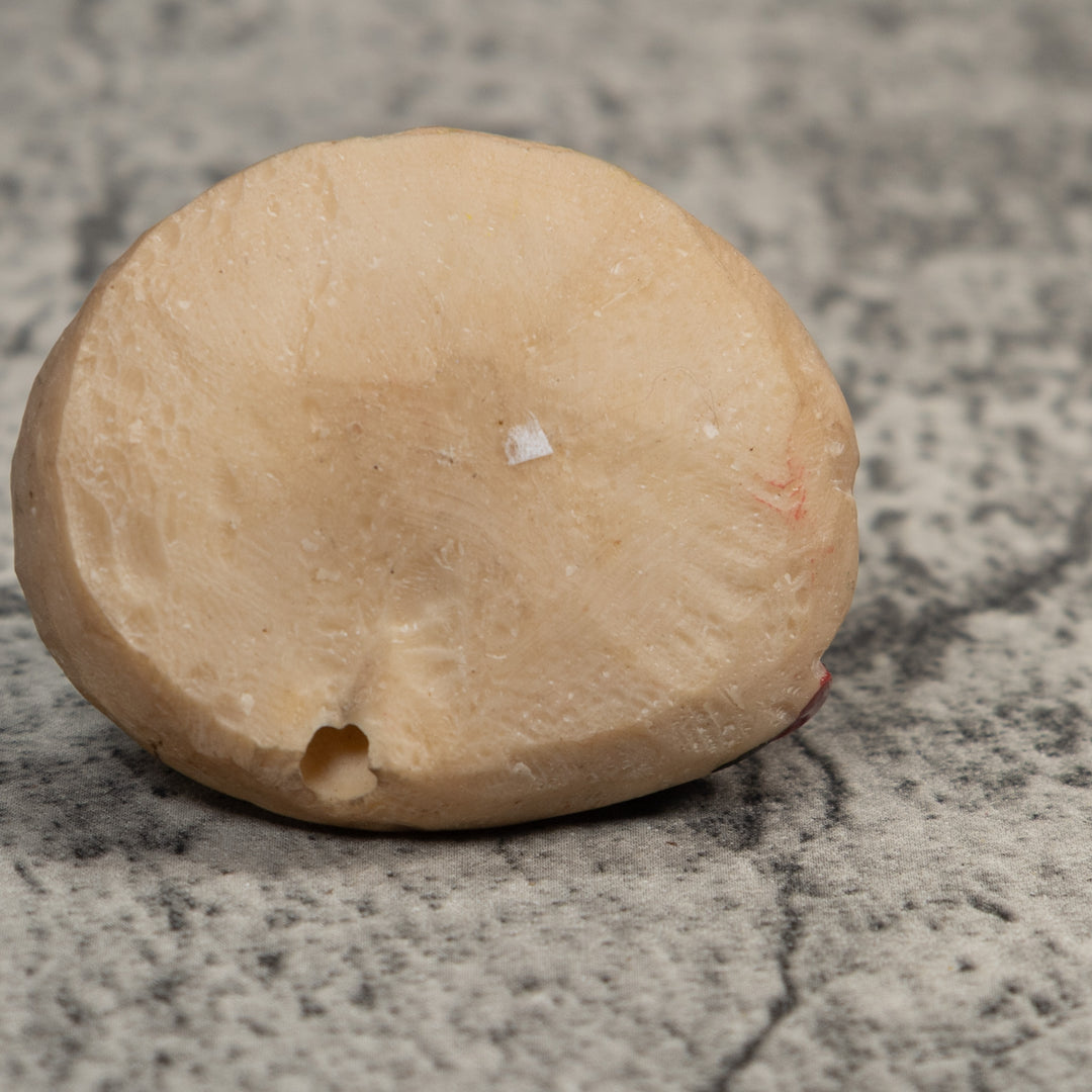 Vintage Red And Black Poison Dart Frog Tagua Carving