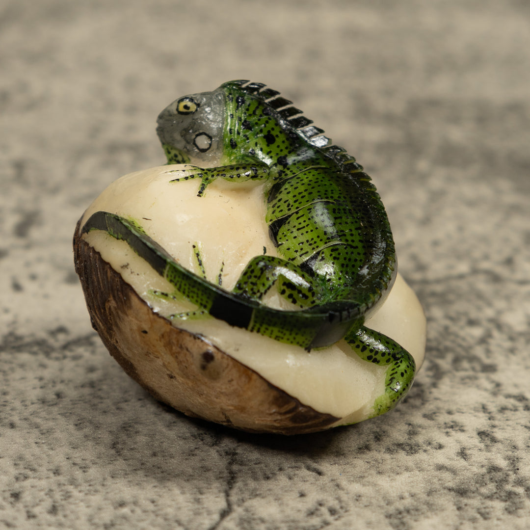 Iguana Lizard Tagua Carving