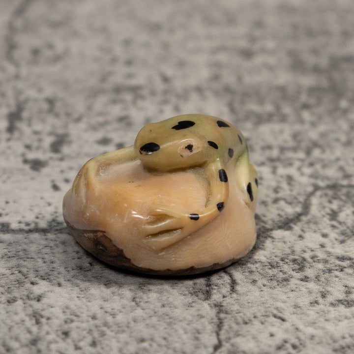 Pale Yellow And Black Jungle Frog Tagua Carving