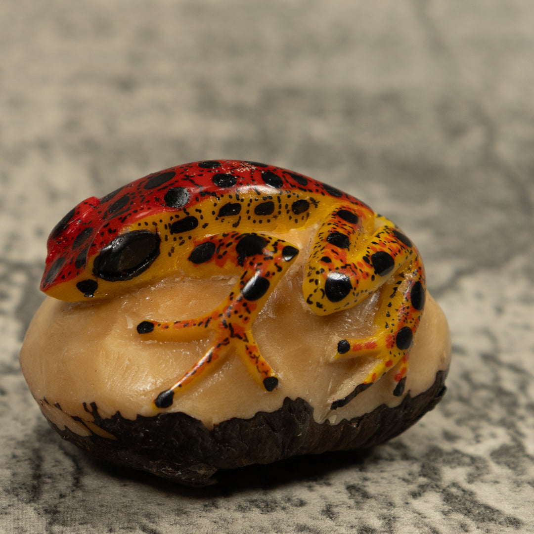 Vintage Poison Dart Frog Tagua Carving
