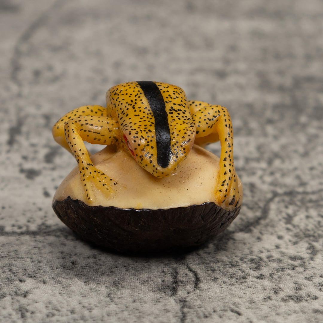 Vintage Frog Tagua Carving