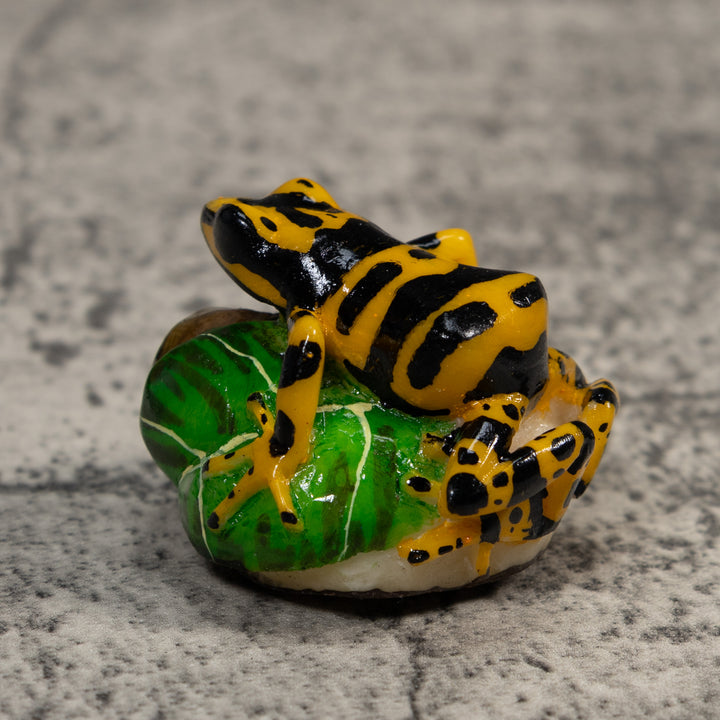 Black And Gold Poison Dart Frog Tagua Carving