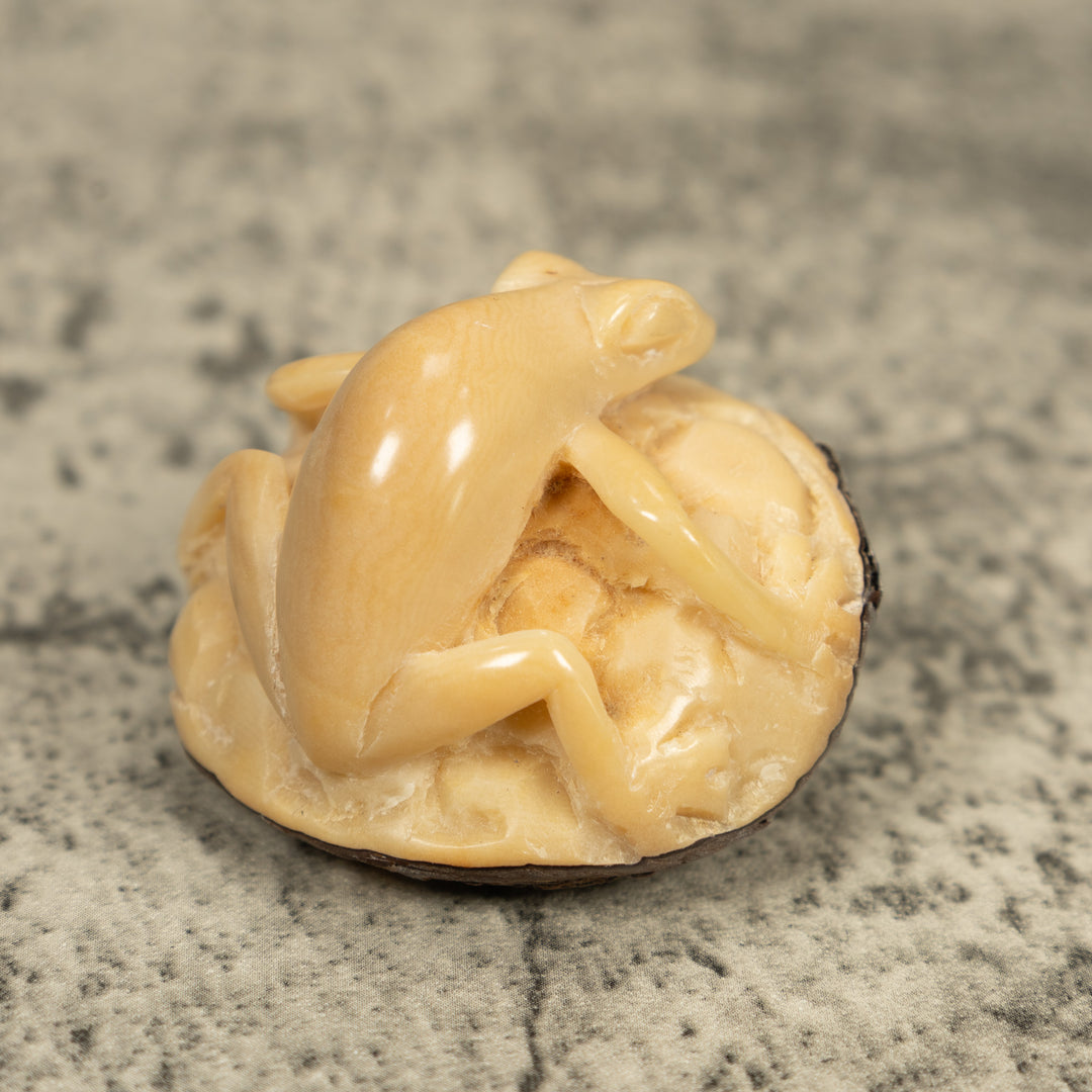 Natural White Frog Tagua Carving