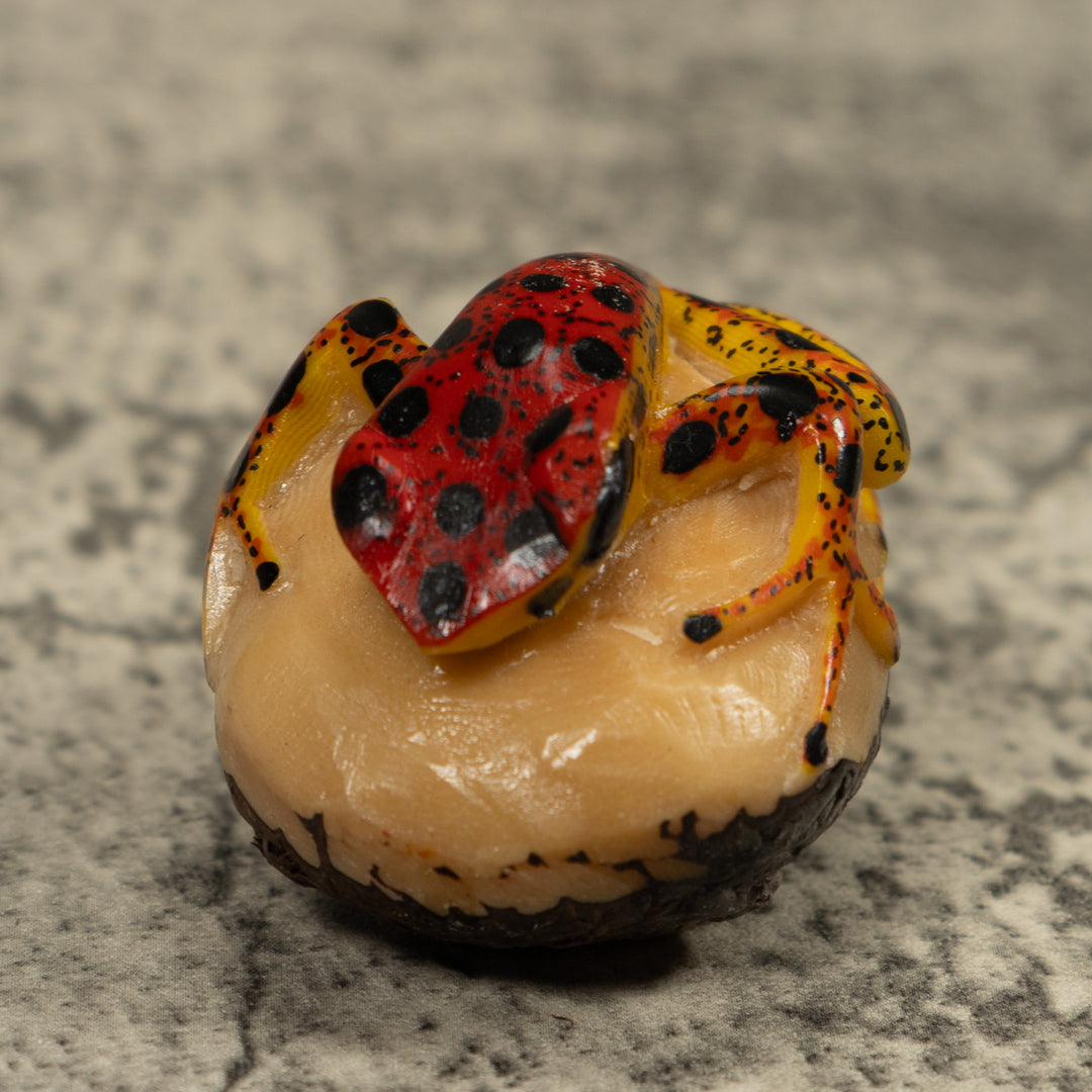 Vintage Poison Dart Frog Tagua Carving