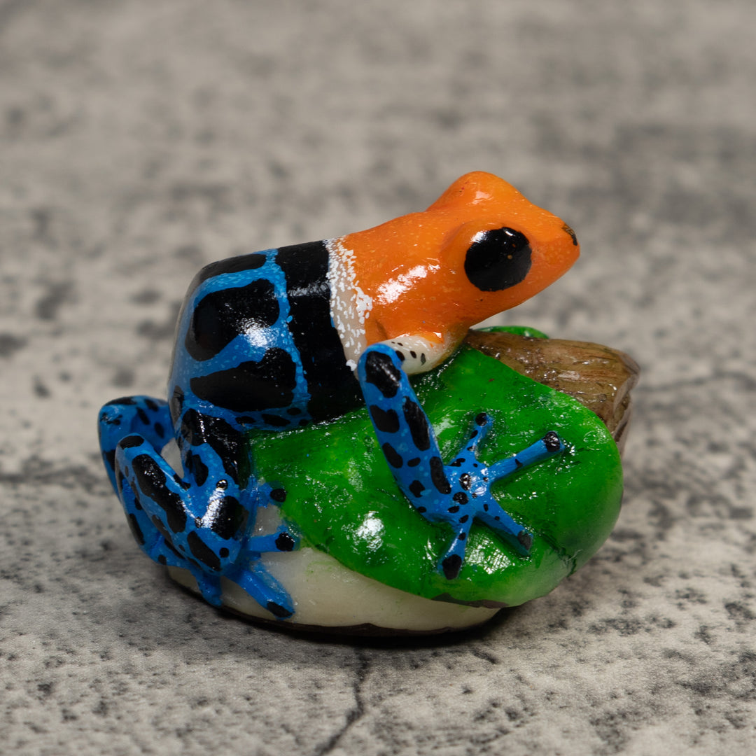 Orange Blue And Black Poison Dart Frog Tagua Carving