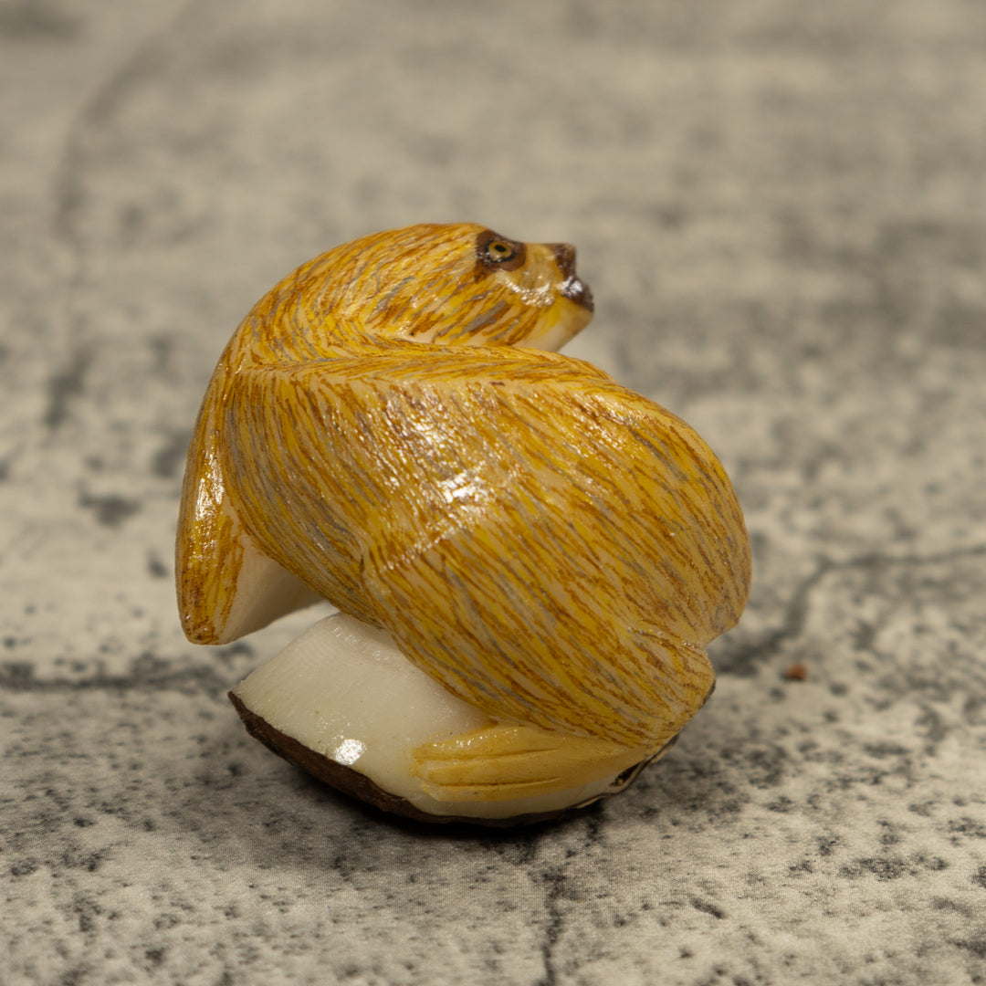 Brown Sloth Tagua Carving