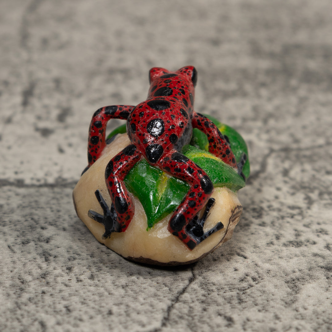 Black And Red Poison Dart Frog Tagua Carving