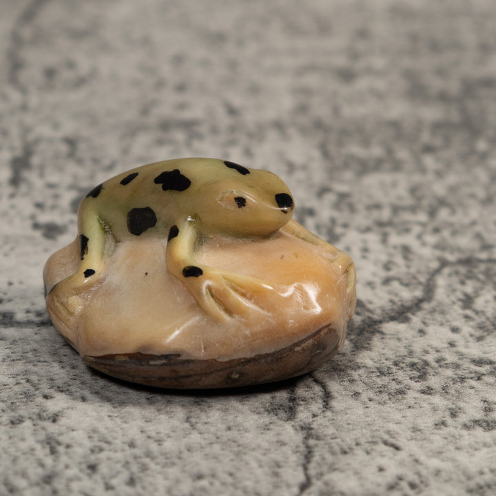 Pale Yellow And Black Jungle Frog Tagua Carving